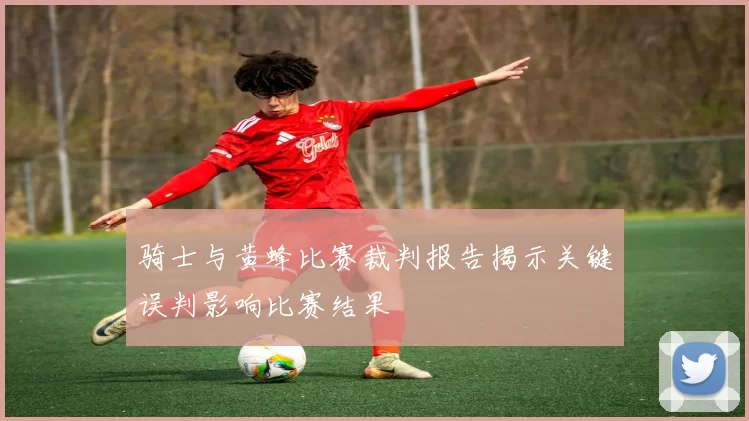 骑士与黄蜂比赛裁判报告揭示关键误判影响比赛结果